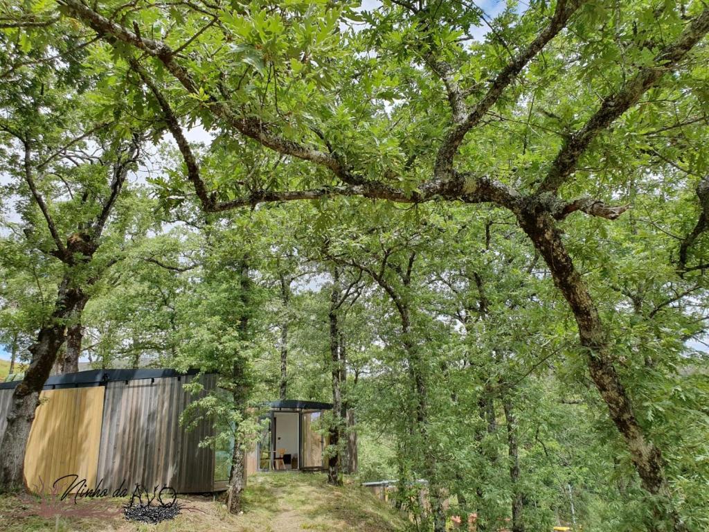 Lodge Ninho da Avó Selvagem Av.Nossa Senhora de Fatima 1- Vila da Ponte 5470-543 Montalegre