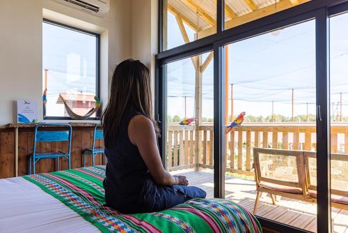 Parrot World - Les Lodges