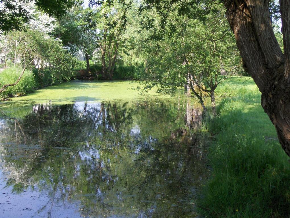 Pavillon \ Route de Ciron, 36300 Rosnay