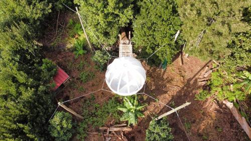 Quinta do Abacate - Glamping Park