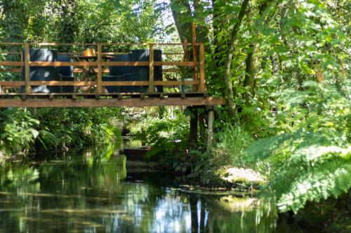 Riba Rio - between river and Camino de Santiago - Ponte de Lima