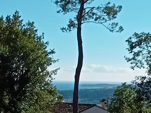 Maison de vacances LODGE Saint Paul de Vence 1782 Chemin des Gardettes Saint-Paul-de-Vence