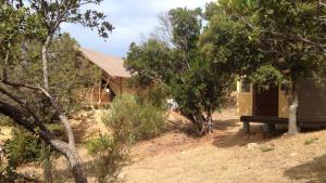 Tente Lodge Bord de Mer