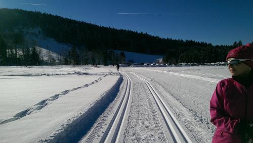 Appartement Loferblick Am Waldbahnhof 7, 2. Etage, Apt. 41 Reit im Winkl