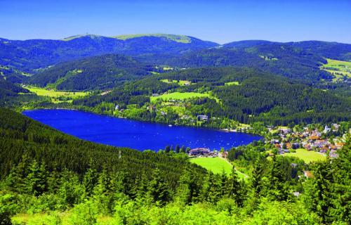 Maison d'hôtes Löffelschmiede Hotel & Restaurant am Titisee / Feldberg Bruderhalde 36 Feldberg