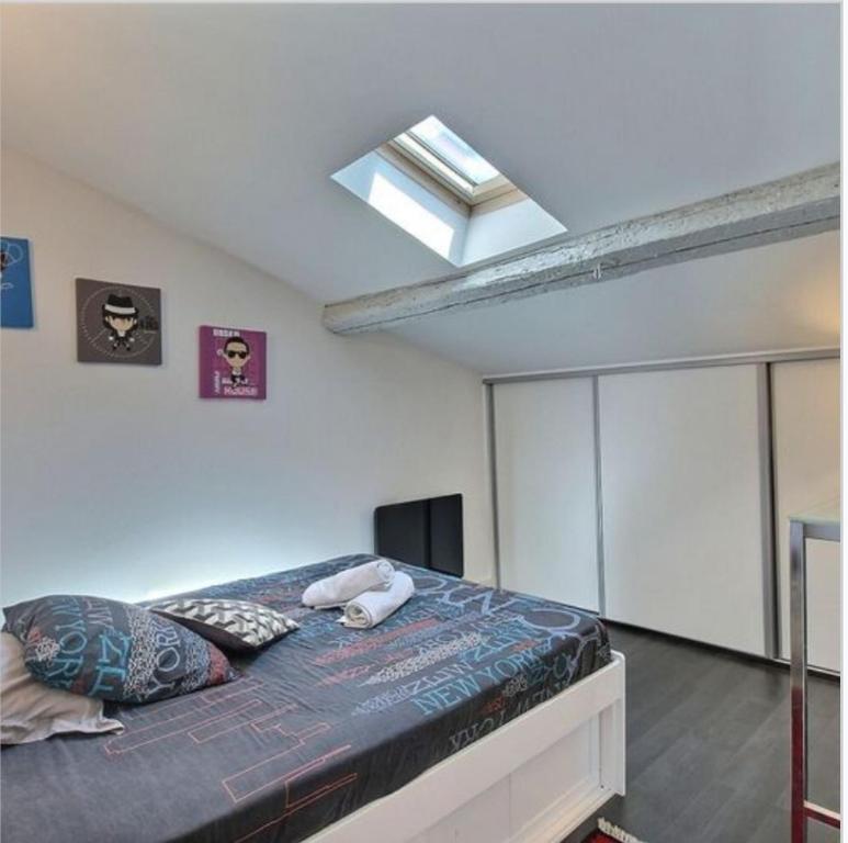 Appartement Loft, centre ville, atypique de 100m2 11 Rue Camille Rabaud, 81100 Castres