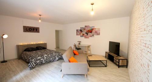 Appartement Loft Hyper centre Vesoul 6 Rue Baron Bouvier Vesoul