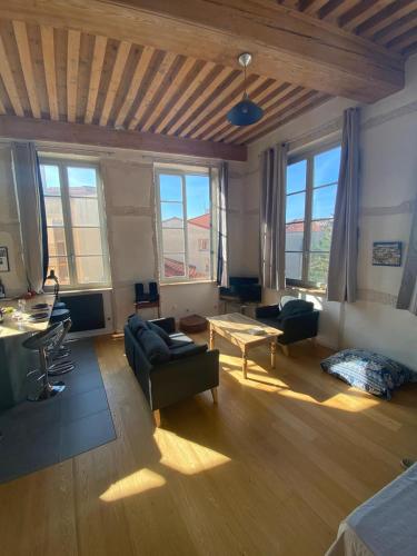 Loft lumineux Canut au cœur de la Croix-Rousse Lyon france