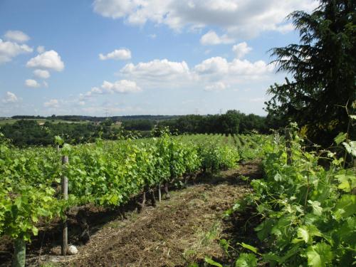 Logis de Bois Roche (2) Saint-Bonnet-sur-Gironde france