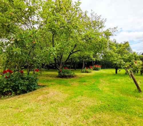 Maison d'hôtes Logis du cheval blanc 746 Rue du Cheval Blanc Gommegnies