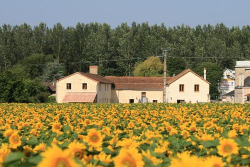 Maison de vacances Loire Escapes - Maison D'Hibou 3 Impasse Du Moulin Berrie