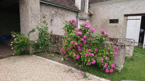 Maison de vacances Longère du sud Touraine au Coeur du Val de Loire 14 les Hautes-maisons Saint-Jean-Saint-Germain