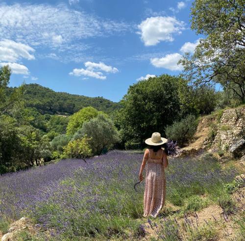 LOU CALEN Cotignac france