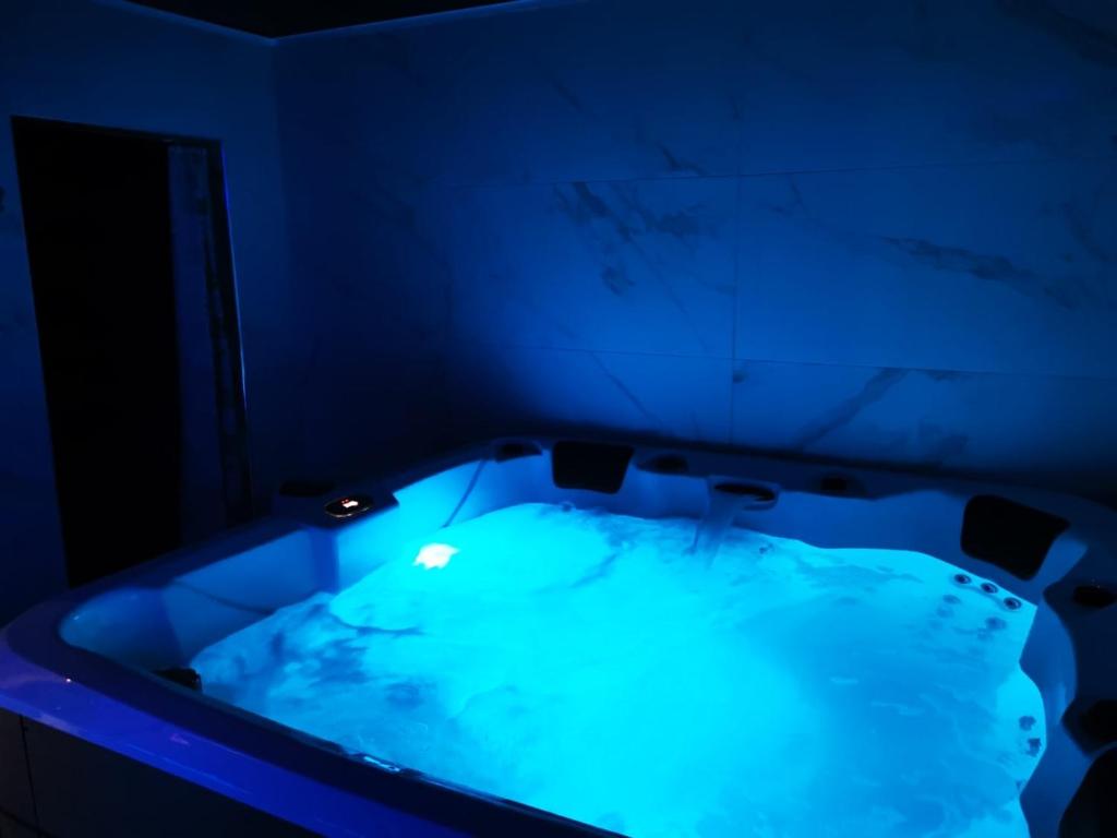 Medusa spa 34 98 Rue Pomier Layrargues, 34000 Montpellier