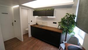 Suite morning star