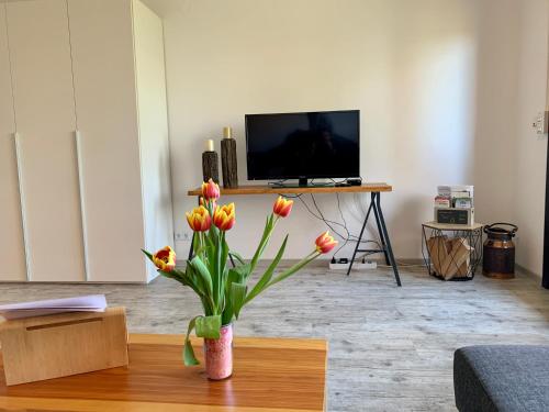 Appartement Luchsbutze Joachimsthaler Weg 9 Sankt-Andreasberg