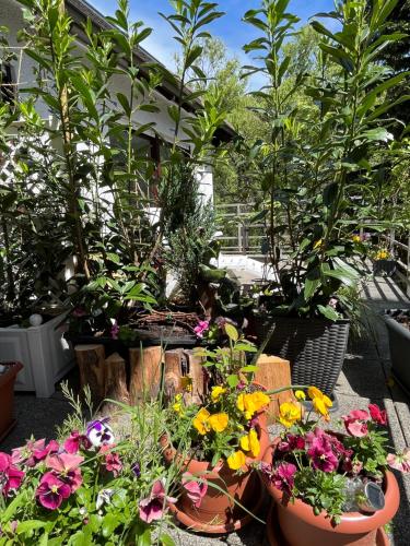 Luftkurort, Perle des Neckartals Hirschhorn allemagne