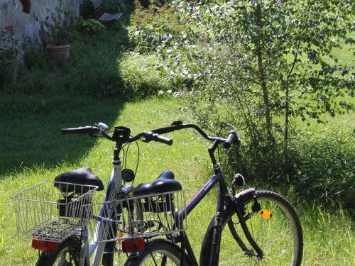 Appartement Lush Apartment in Steffenshagen with Garden  Steffenshagen