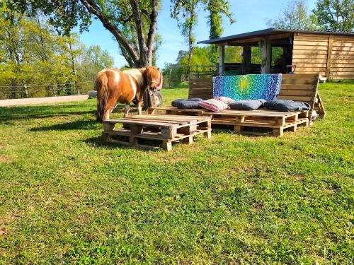 Luxe safarilodgetent met boxspring bedden Montcléra france