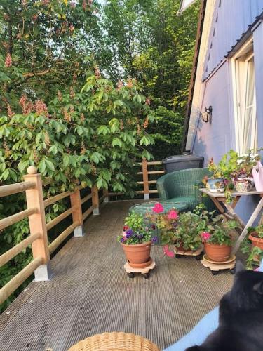 Appartement Luxuriöses Apartment mit Blick auf Ziegen- und Ponywiese 94 Steckensteiner Straße Mittelhof
