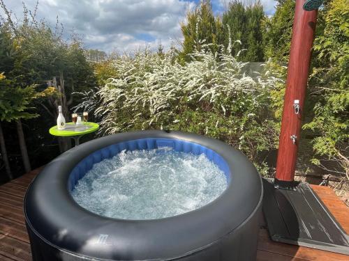Maison de vacances Luxury villa in Tinjan with private pool  Harzgerode