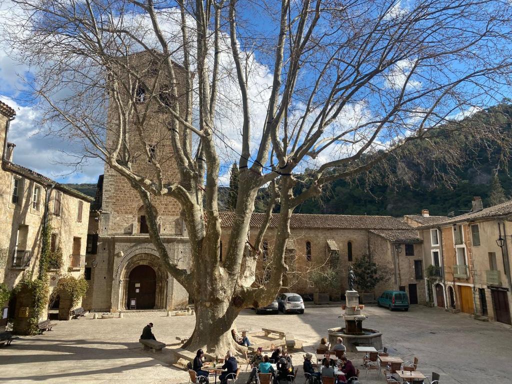 Appartement MACLENFA: charmant studio au cœur de l’Herault. Appartement 1, 1er étage étage 9 Place de la Liberté, 34150 Saint-Guilhem-le-Désert