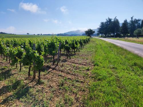 Camping Magalli Le Reynou et Clos del Capré Mauroux