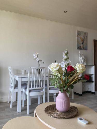 Appartement Magic' Chambord 11 Rue Pasteur Albertville