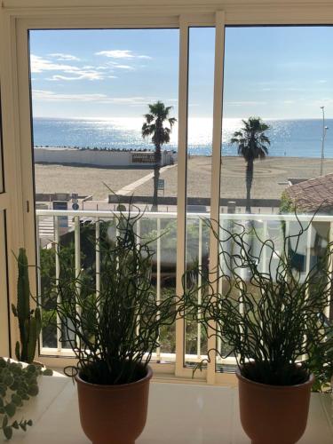 Appartement Magnifique appartement vue mer 4 personnes 12 Boulevard Cassanyes Canet-en-Roussillon