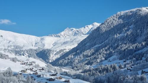 Magnifique Chalet 5 étoiles face au Mont Blanc - Jacuzzi & Sauna & Cinéma Hauteluce france