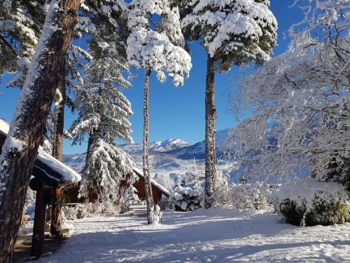 Chalet Magnifique chalet en rondins avec sauna - Vercors chalet le rond du pin - la tancanière Villard-de-Lans