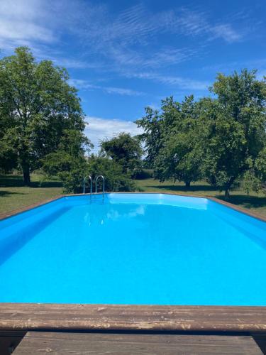 Magnifique villa piscine dans un écrin de verdure Eckbolsheim france