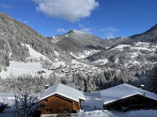 Magnifique vue - Pistes 1 min - Parking privé Saint-Jean-dʼAulps france