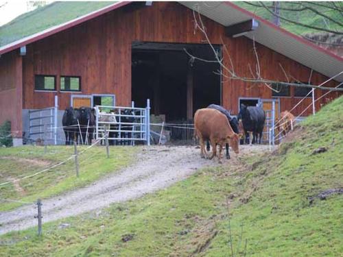 Maierhof Bad Rippoldsau-Schapbach allemagne