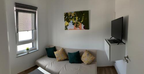 Appartements Main Boarding House Am Stadtweg Miltenberg
