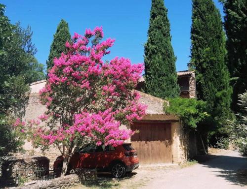 Maison d'hôtes Maison 1643 635 Chemin de Ribas Laudun-l\'Ardoise