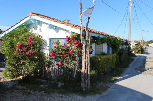 Maison de vacances Maison 4 chambres près du port ostréicole de la Plage 59 Andernos-les-Bains