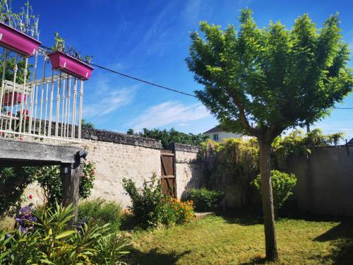 Maison de vacances Maison au calme avec terrasse et jardin 11 Rue Diderot Chinon