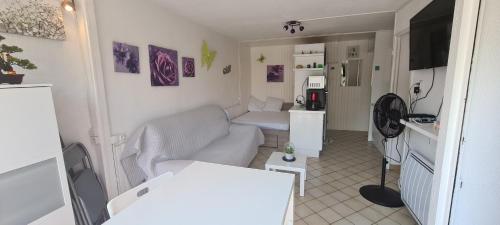 Appartement Maison bleue - balcons de la Méditerranée 43 avenue du languedoc Narbonne