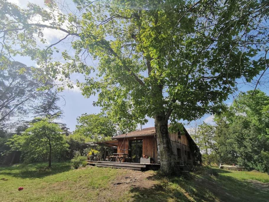 Maison de vacances Maison bois au coeur de la nature. 2ha de terrain. Etangs 2200 Chemin de Binaou, 40260 Linxe