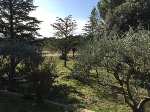 Séjour chez l'habitant Maison calme 410 Chemin du Bois Rond Beaumes-de-Venise