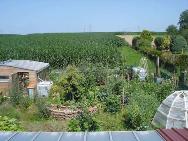 Séjour chez l'habitant Maison calme et son jardin forêt comestible 12 Rue du Rempart, 67370 Berstett