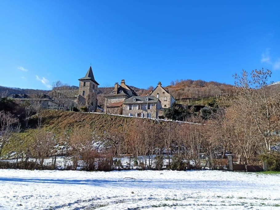 Maison de vacances Maison chaleureuse avec cheminée Le bourg st jacques des blats, 15800 Saint-Jacques-des-Blats