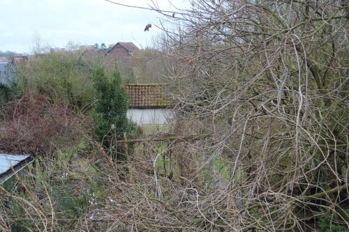 Appartement maison d'artiste accès jardin 16 Ruelle Lenglet Maubeuge