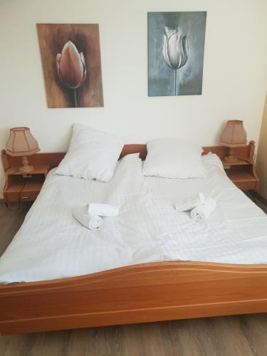 ADLER PENSION