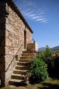 Maison d'hôtes Agro-Turismo - Quinta do Pinheiro Rua do Instituto 6300-080 Cavadoude Région Centre