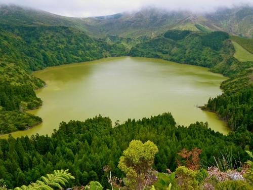 Alojamentos Flores Island