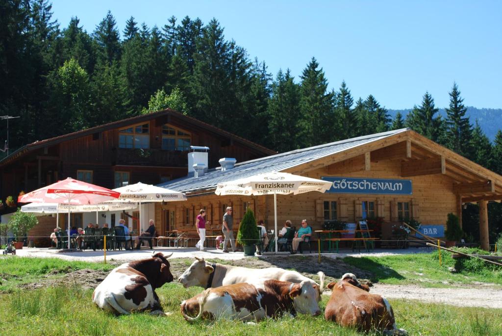 Maison d'hôtes Alpengasthof Götschenalm Kollertradte 21 83483 Bischofswiesen