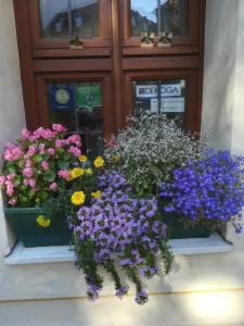 Altstadt Pension Zaremba