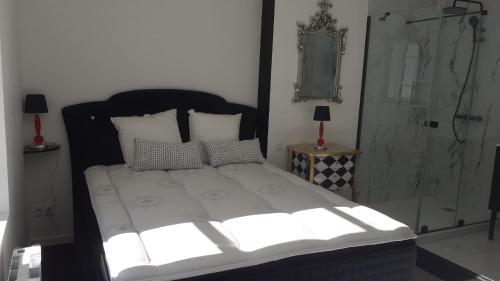 Appartement OH! Duc de Sully